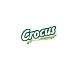 Crocus